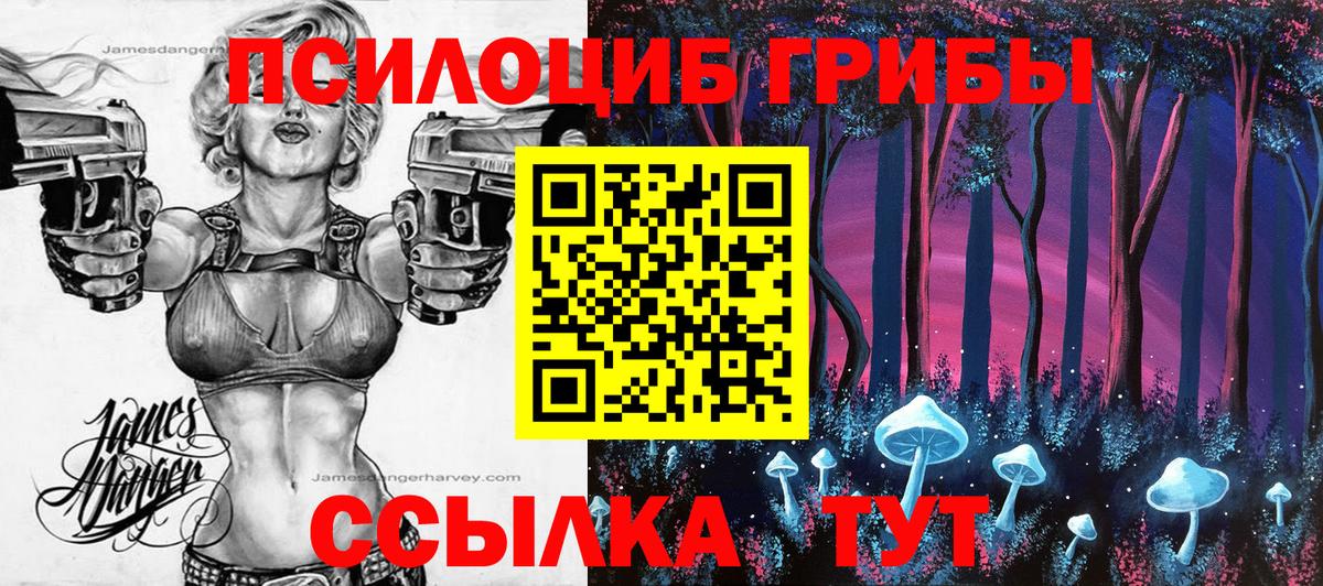 Псилоцибиновые грибы MAGIC MUSHROOMS Лысьва